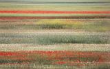 Impression der Provence Kopie